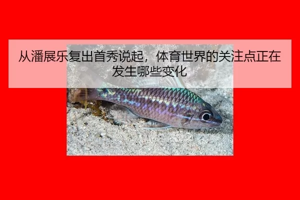 cong-pan-zhan-le-fu-chu-shou-xiu-shuo-qi-ti-yu-shi-jie-de-guan-zhu-dian-zheng-zai-fa-sheng-na-xie-bian-hua-2-302.jpg